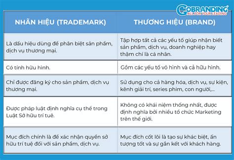 Tìm hiểu lyn là thương hiệu gì và sản phẩm được liên kết.